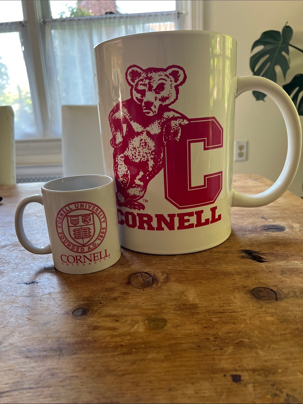 HUGE  NWT  Rare Cornell University 1.25 Gallon Cornell Bear Mug